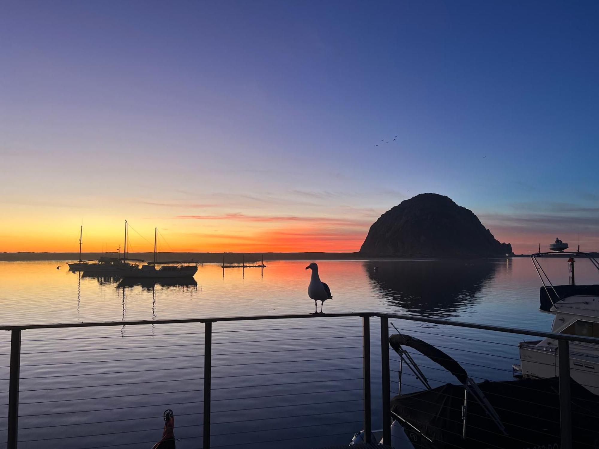 Harborwalk Inn Morro Bay Esterno foto